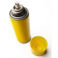Sprey PAINT